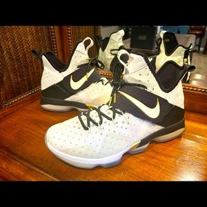 🔥 Nike LeBron 14 XIV BHM 🔥 Black History Month LeBron James Sneaker